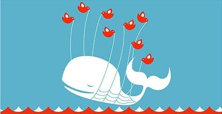 Twitter's class fail whale image